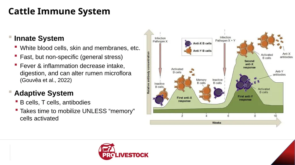 Cattle Vaccination & Receiving Adam Murray, Ph.D. - slide 20 of 26