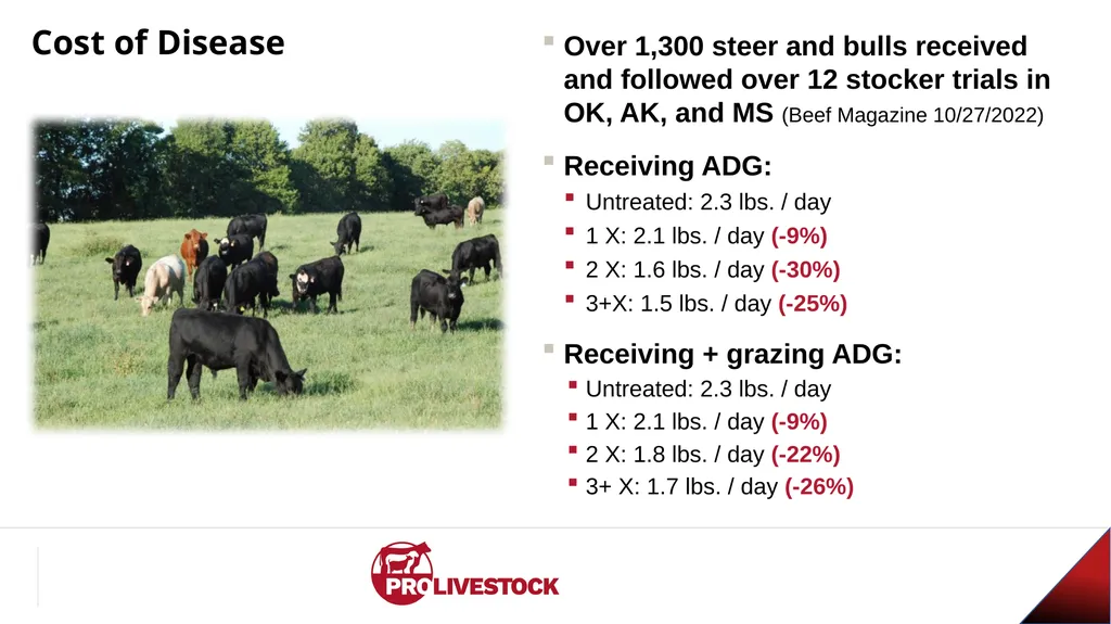Cattle Vaccination & Receiving Adam Murray, Ph.D. - slide 13 of 26
