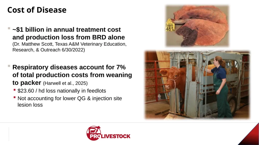 Cattle Vaccination & Receiving Adam Murray, Ph.D. - slide 7 of 26