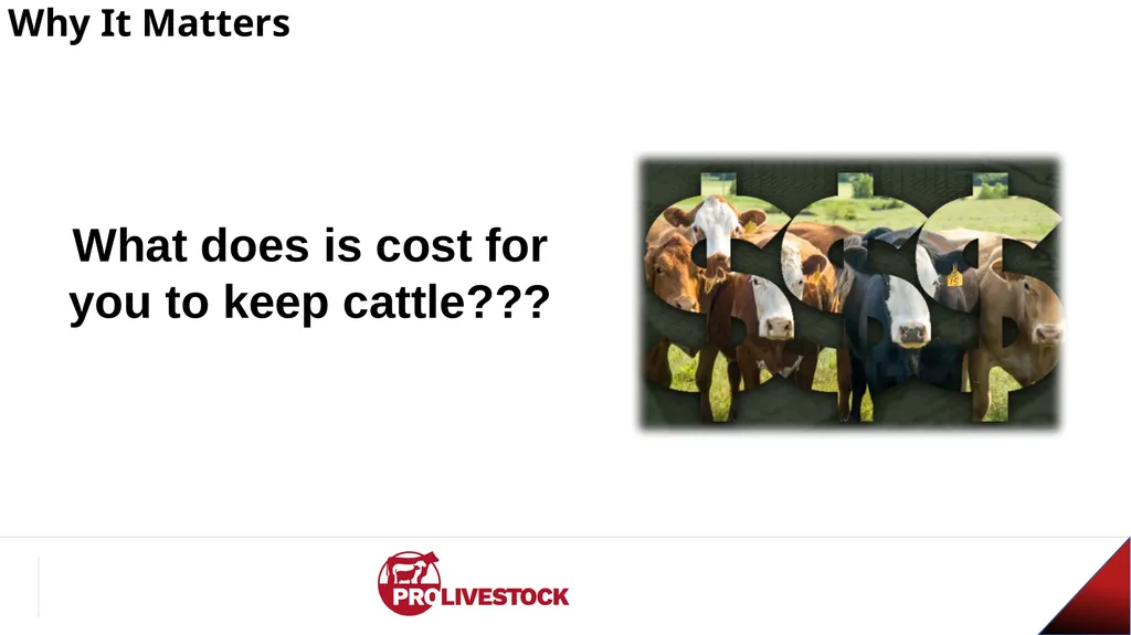 Cattle Vaccination & Receiving Adam Murray, Ph.D. - slide 2 of 26