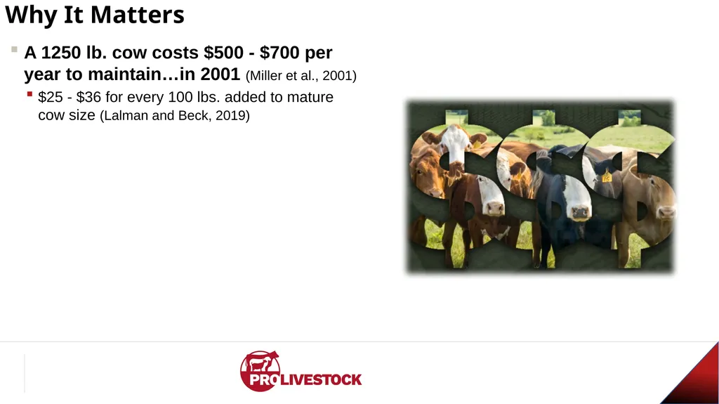 Cattle Vaccination & Receiving Adam Murray, Ph.D. - slide 3 of 26
