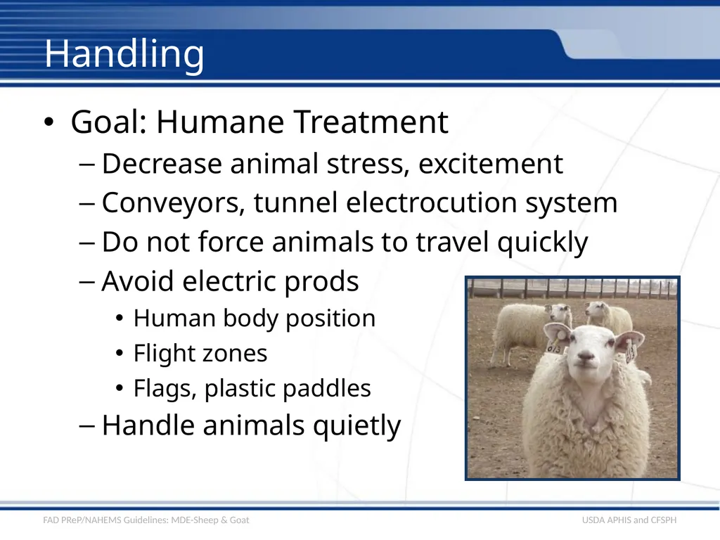 Mass Depopulation & Euthanasia Sheep & Goat - slide 4 of 15