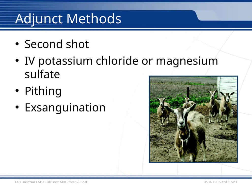 Mass Depopulation & Euthanasia Sheep & Goat - slide 11 of 15