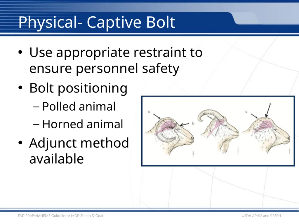 Mass Depopulation & Euthanasia Sheep & Goat - slide 7 of 15