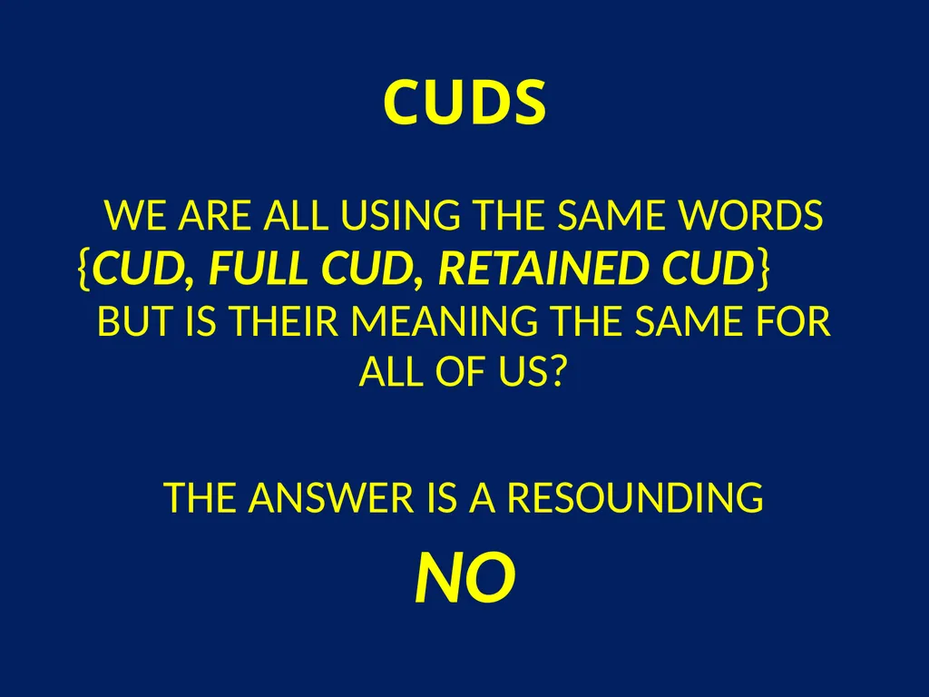 CUDS DEFINITIONS, THEIR USEFULNESS AND OTHER - slide 2 of 33