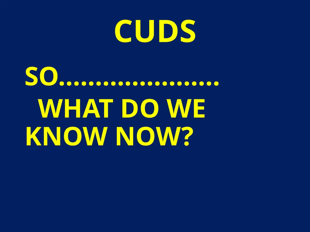 CUDS DEFINITIONS, THEIR USEFULNESS AND OTHER - slide 30 of 33