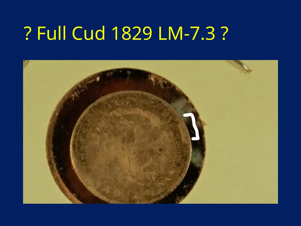 CUDS DEFINITIONS, THEIR USEFULNESS AND OTHER - slide 28 of 33