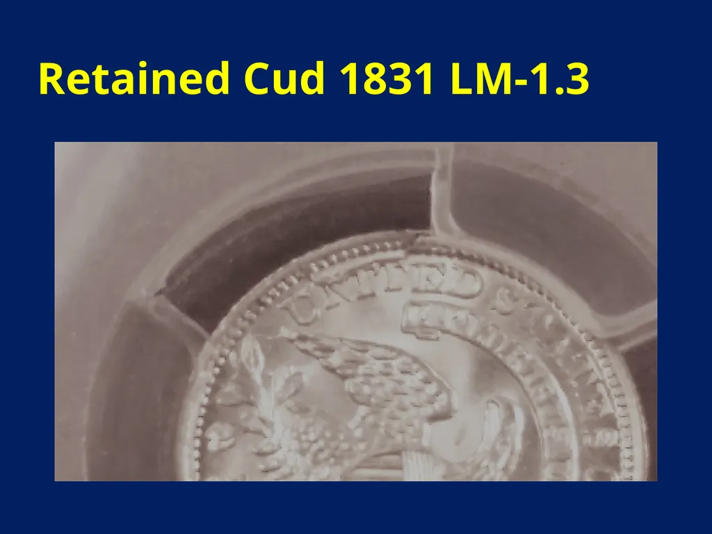 CUDS DEFINITIONS, THEIR USEFULNESS AND OTHER - slide 8 of 33