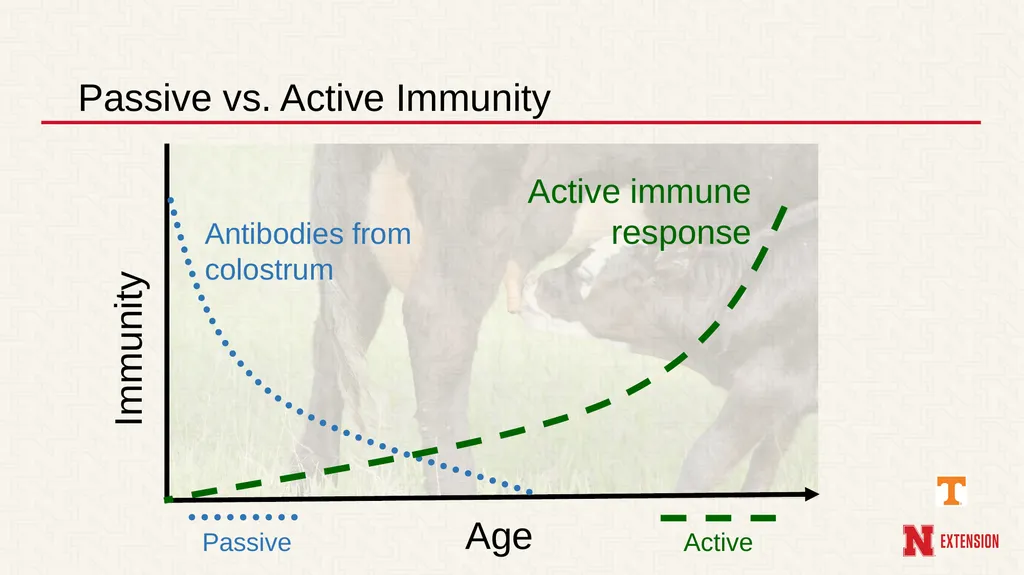 Managing Illness in Farm Animals Phil Myer**, - slide 12 of 18