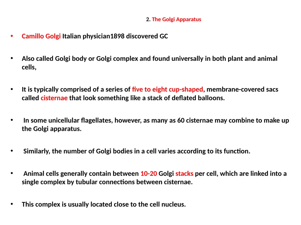 Endoplasmic Reticulum AND Golgi complex Rough ER - slide 15 of 26