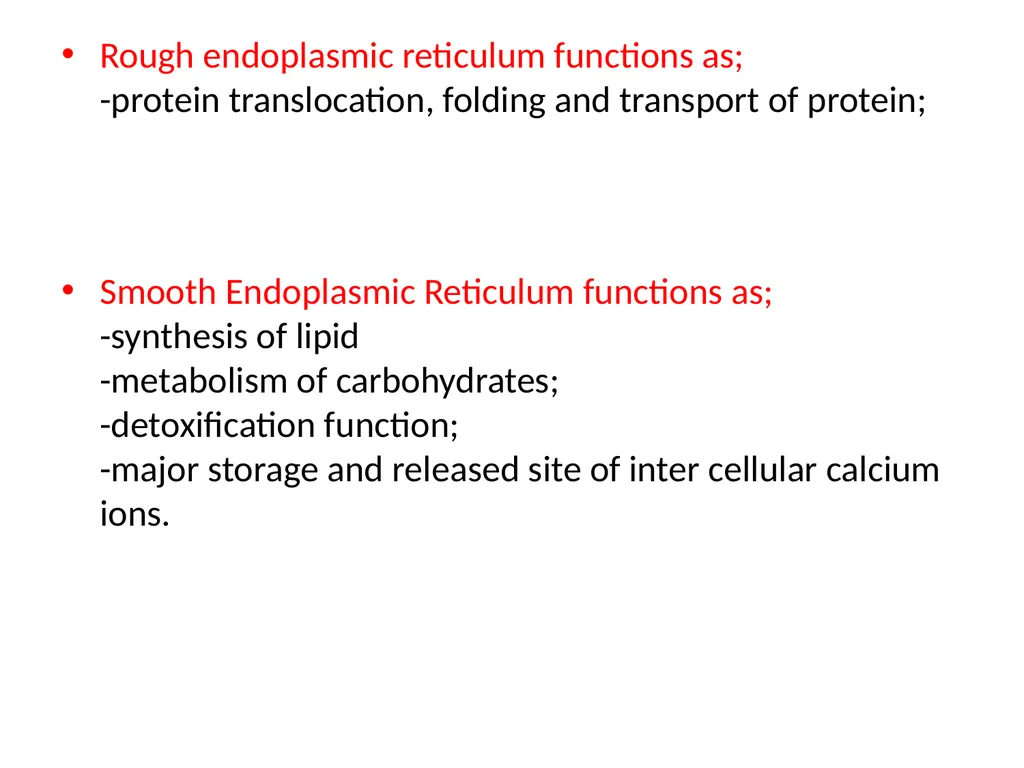Endoplasmic Reticulum AND Golgi complex Rough ER - slide 12 of 26