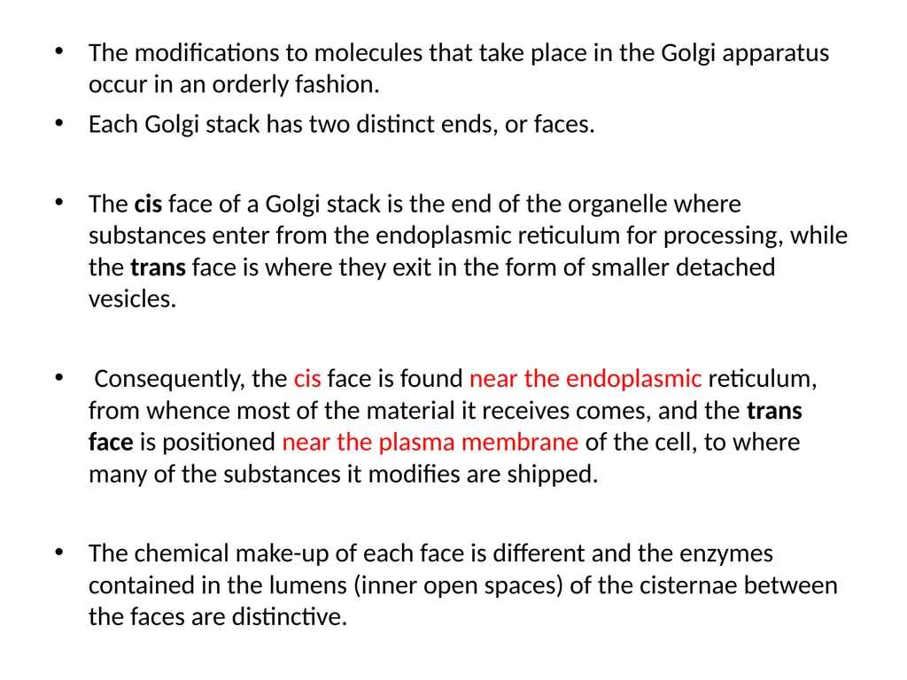 Endoplasmic Reticulum AND Golgi complex Rough ER - slide 21 of 26