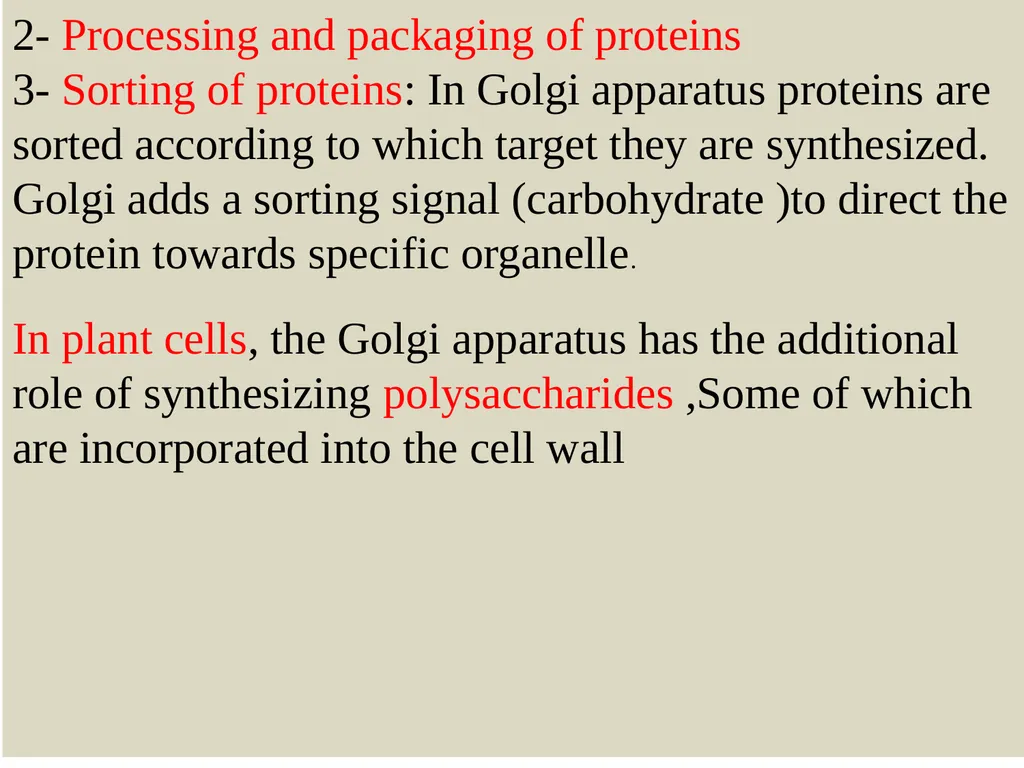 The Endomembrane system The Endomembrane system - slide 20 of 22