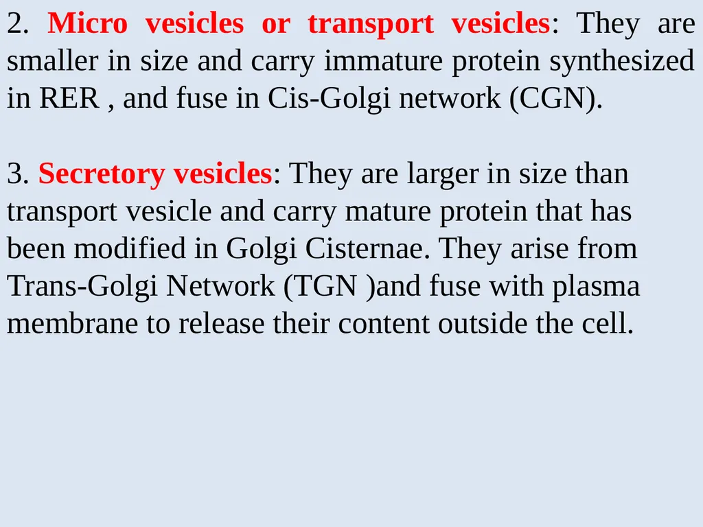 The Endomembrane system The Endomembrane system - slide 17 of 22