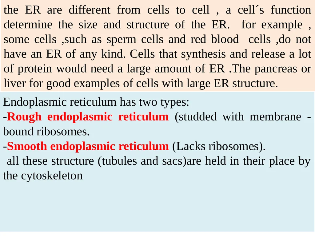The Endomembrane system The Endomembrane system - slide 2 of 22