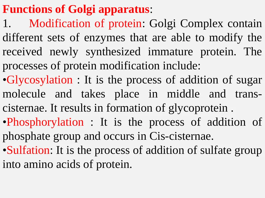 The Endomembrane system The Endomembrane system - slide 19 of 22