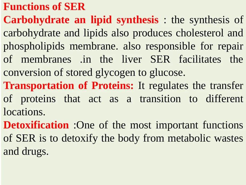 The Endomembrane system The Endomembrane system - slide 12 of 22