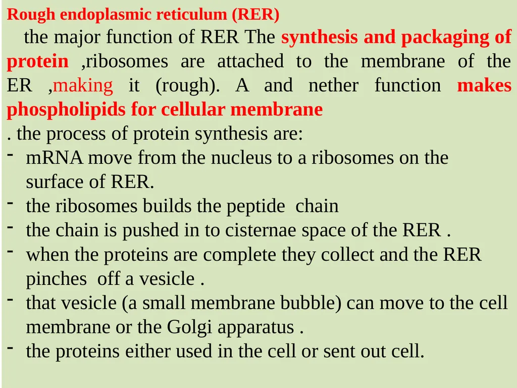 The Endomembrane system The Endomembrane system - slide 8 of 22