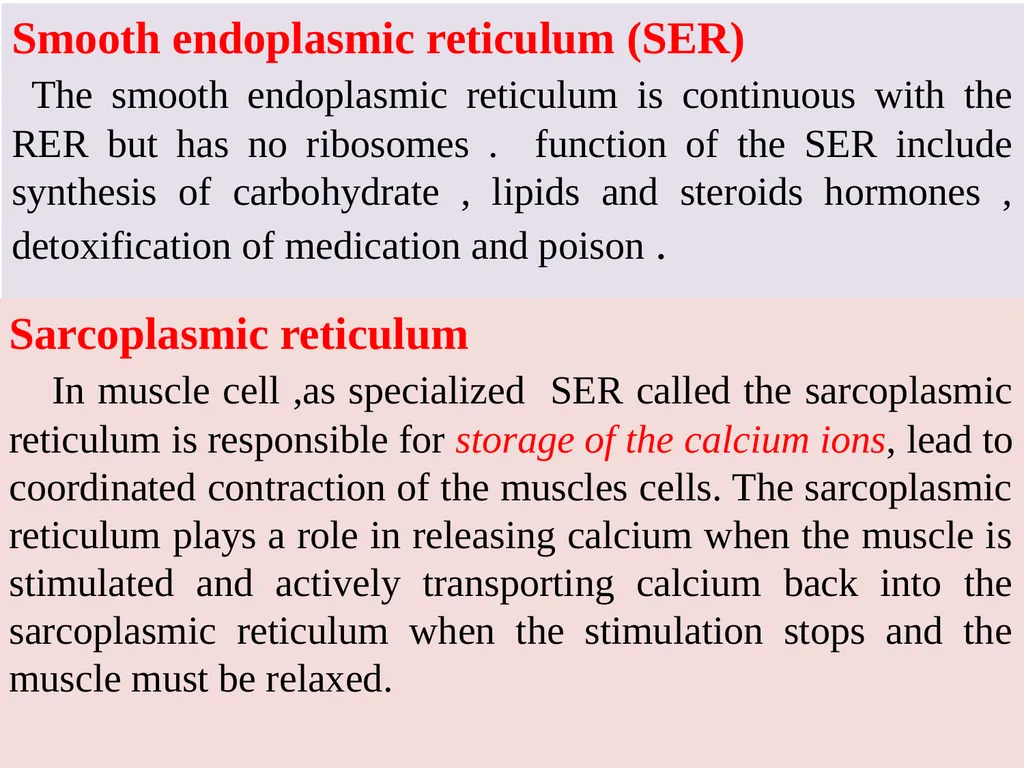 The Endomembrane system The Endomembrane system - slide 11 of 22
