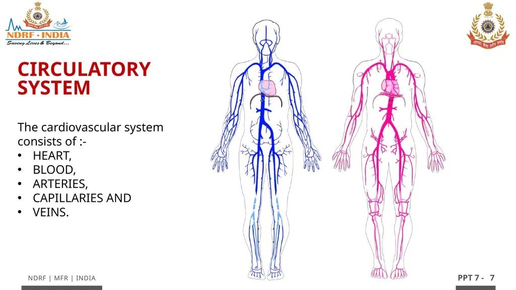 - 1 LESSON 7 Basic Life Support (BLS) and - slide 7 of 41