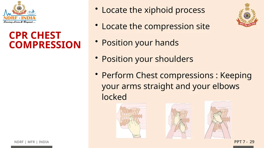 - 1 LESSON 7 Basic Life Support (BLS) and - slide 29 of 41