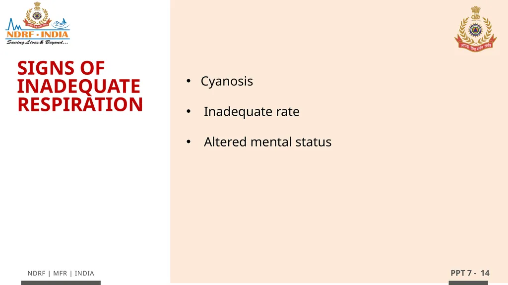 - 1 LESSON 7 Basic Life Support (BLS) and - slide 14 of 41