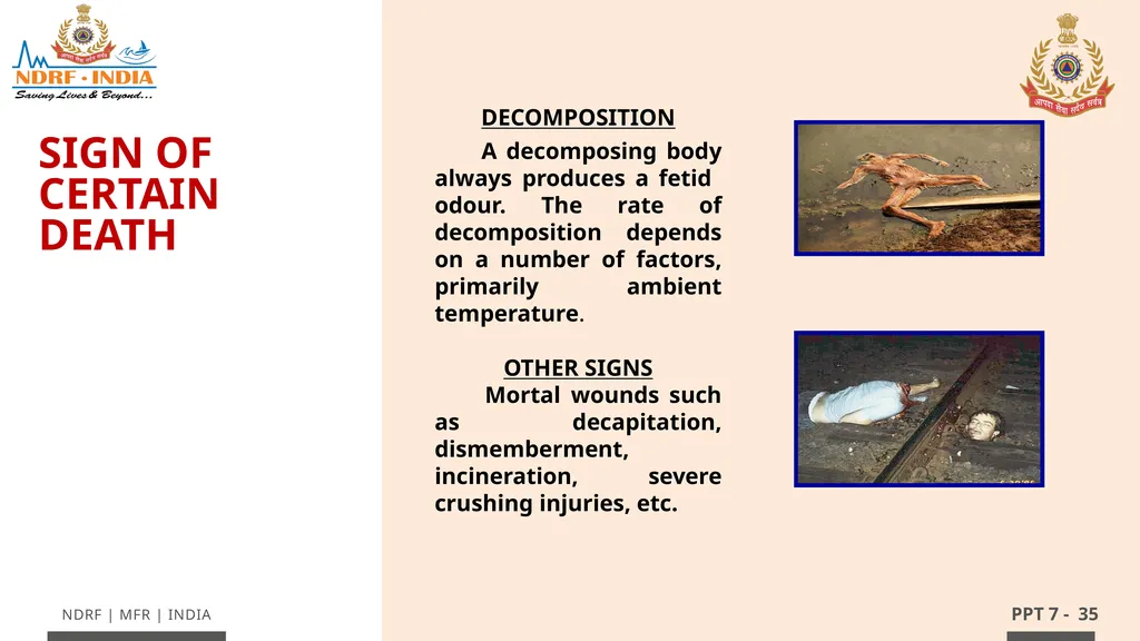- 1 LESSON 7 Basic Life Support (BLS) and - slide 35 of 41