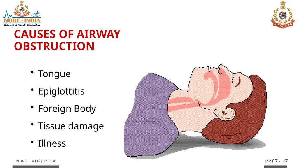 - 1 LESSON 7 Basic Life Support (BLS) and - slide 17 of 41