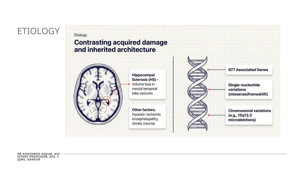 Seizures and Epilepsy Dr Khushboo Anjum Assistant - slide 6 of 31