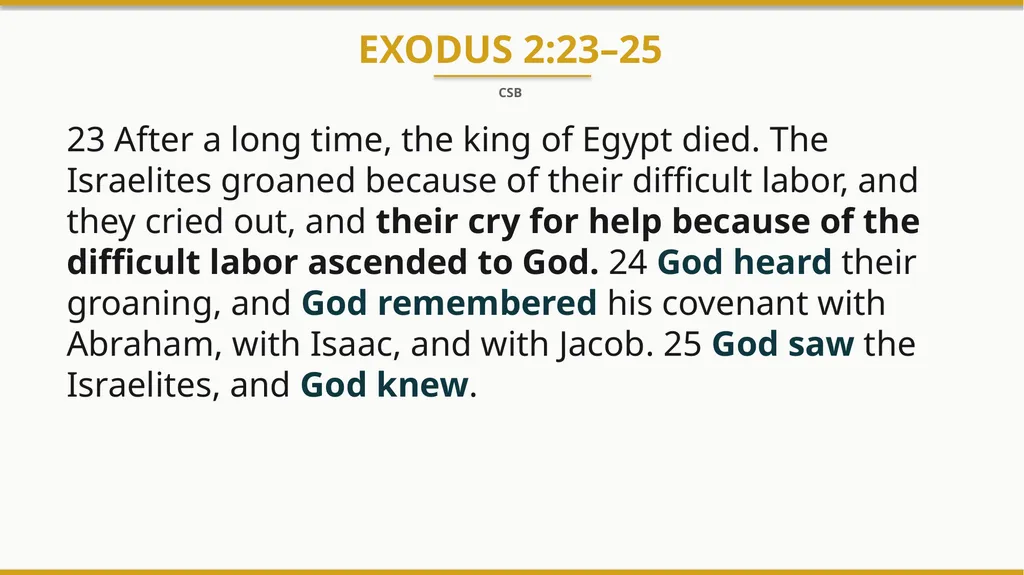 KAYLA MUELLER A young American aid worker - slide 4 of 17