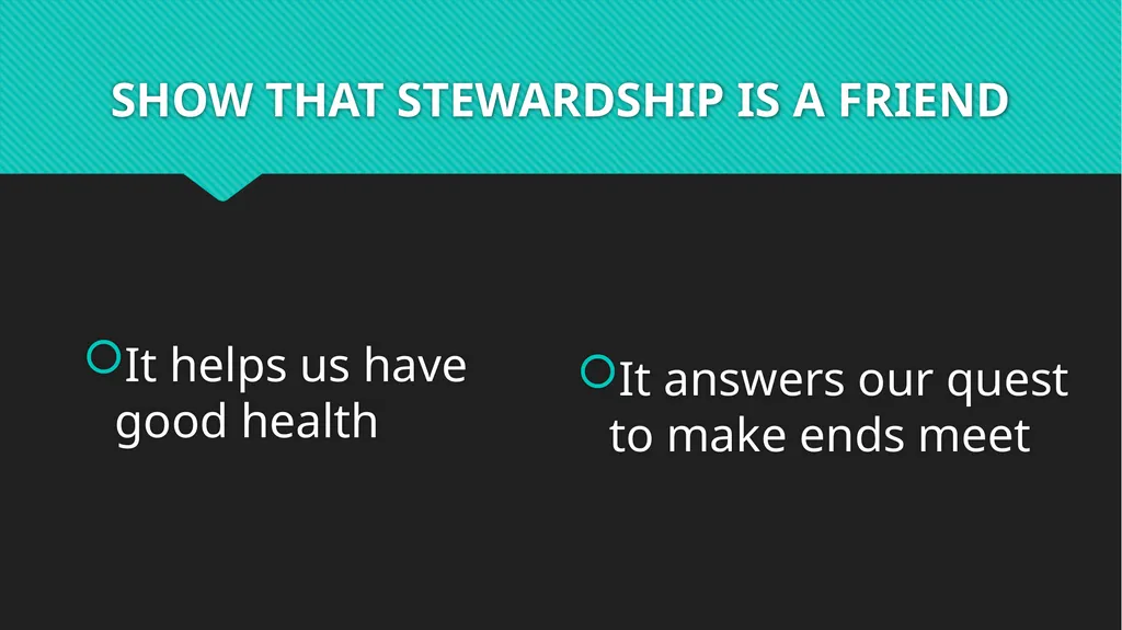 WAYS TO PRESENT STEWARDSHIP PACKAGE IT WELL This - slide 10 of 13
