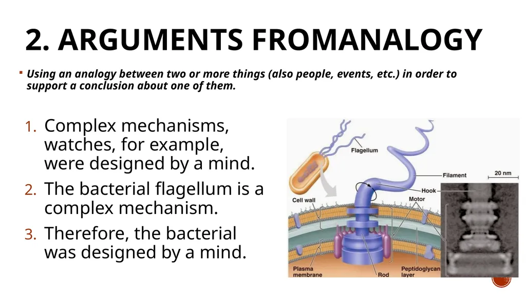 logic THE SCIENCE OF REASONING People use - slide 94 of 124
