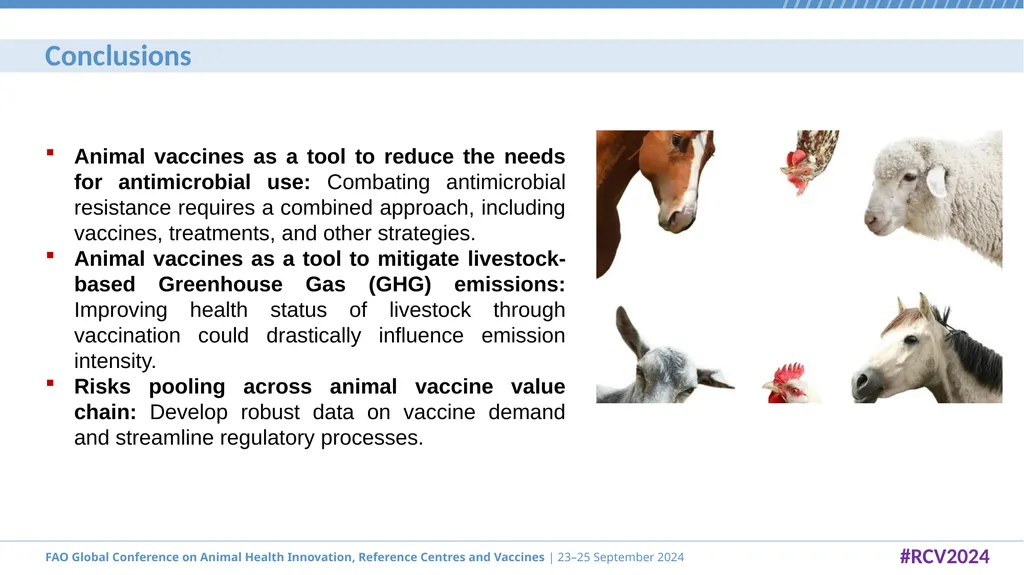 Global Challenges in Animal Vaccines Development - slide 10 of 12