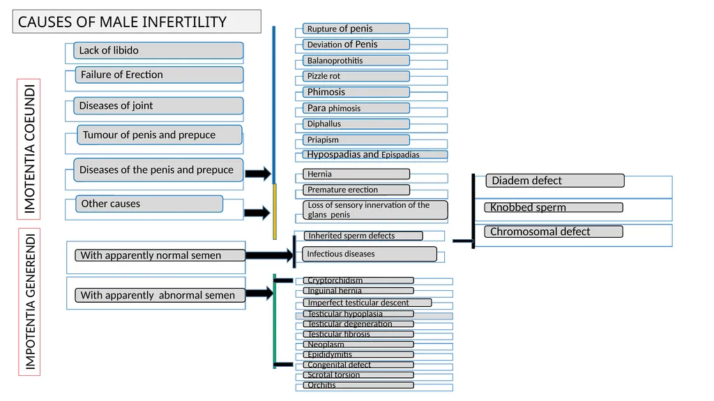 Impotentia Cocundi and Impotentia Generendi, - slide 2 of 24