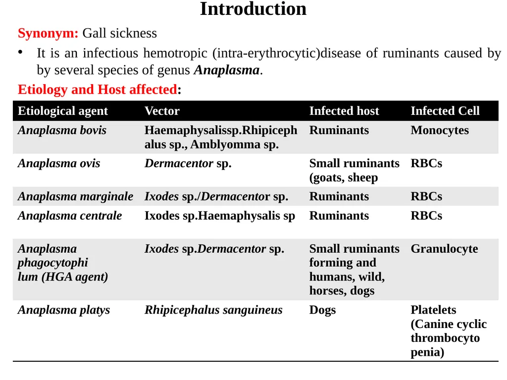 Bovine Anaplasmosis VMD- Unit: 5 Dr. Anil Kumar - slide 2 of 10