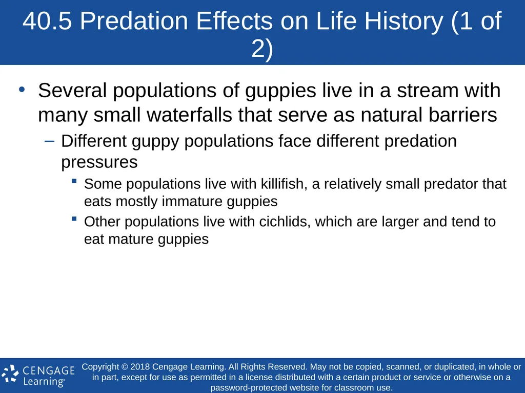 Biology Concepts & Applications 10 Edition Chapter - slide 31 of 48