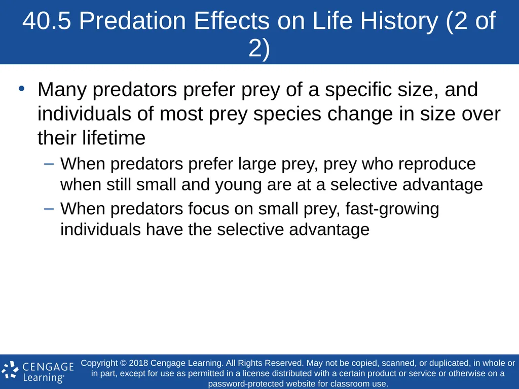 Biology Concepts & Applications 10 Edition Chapter - slide 32 of 48