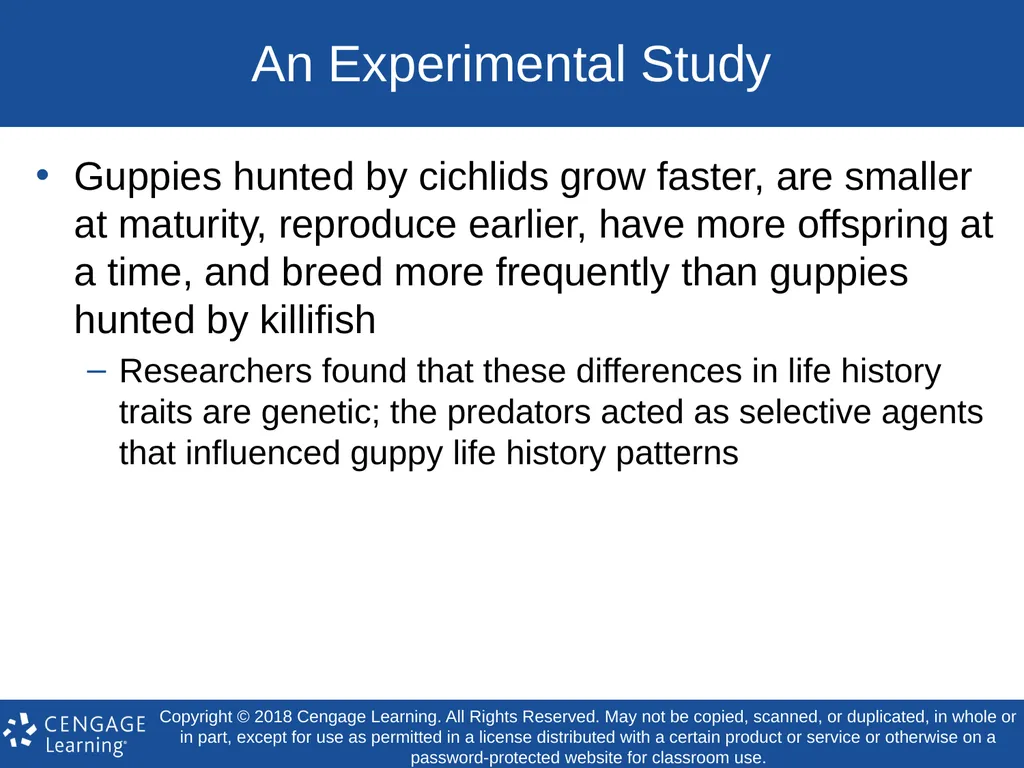 Biology Concepts & Applications 10 Edition Chapter - slide 33 of 48