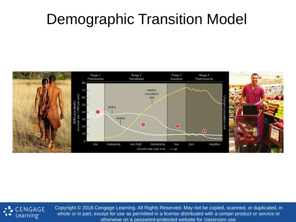 Biology Concepts & Applications 10 Edition Chapter - slide 44 of 48