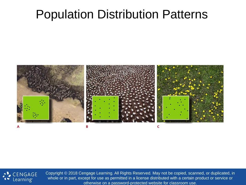 Biology Concepts & Applications 10 Edition Chapter - slide 6 of 48