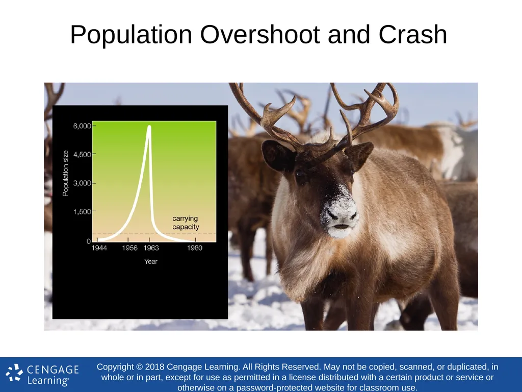 Biology Concepts & Applications 10 Edition Chapter - slide 22 of 48