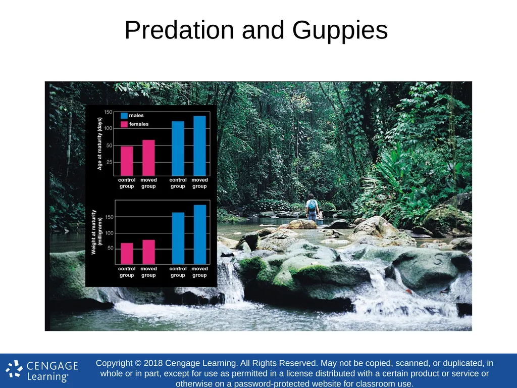 Biology Concepts & Applications 10 Edition Chapter - slide 34 of 48