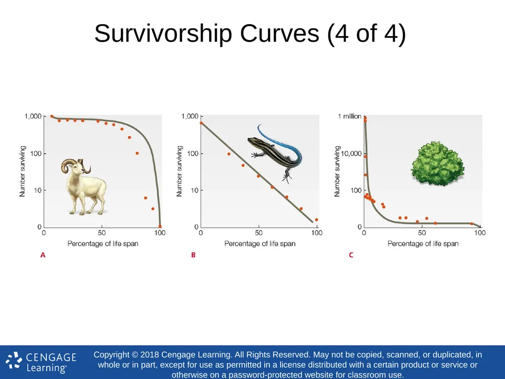 Biology Concepts & Applications 10 Edition Chapter - slide 28 of 48