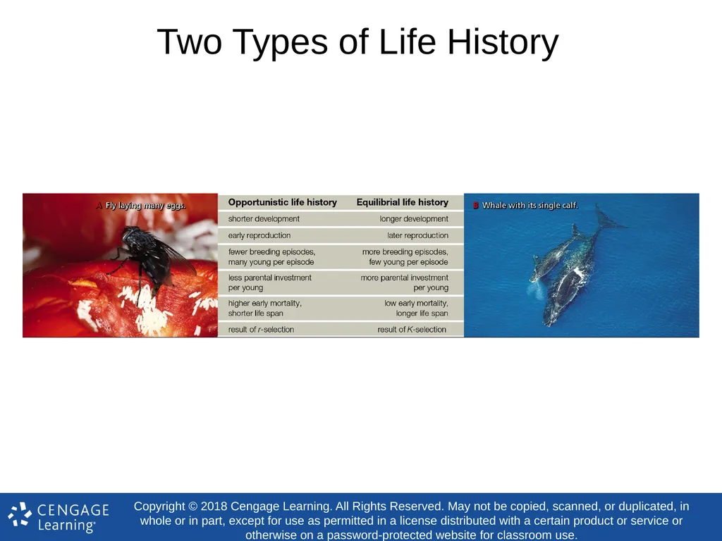 Biology Concepts & Applications 10 Edition Chapter - slide 30 of 48