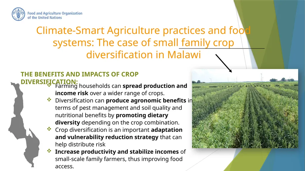 Climate-Smart Agriculture Federica Matteoli - slide 13 of 17