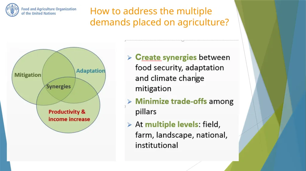 Climate-Smart Agriculture Federica Matteoli - slide 5 of 17