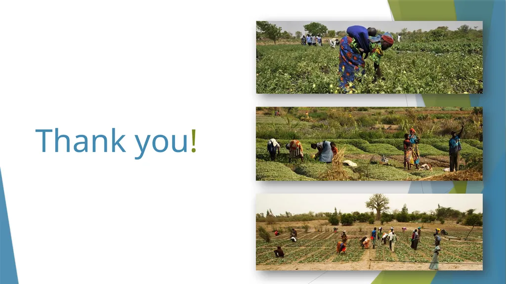 Climate-Smart Agriculture Federica Matteoli - slide 17 of 17