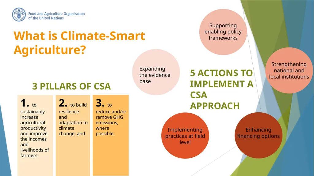 Climate-Smart Agriculture Federica Matteoli - slide 4 of 17