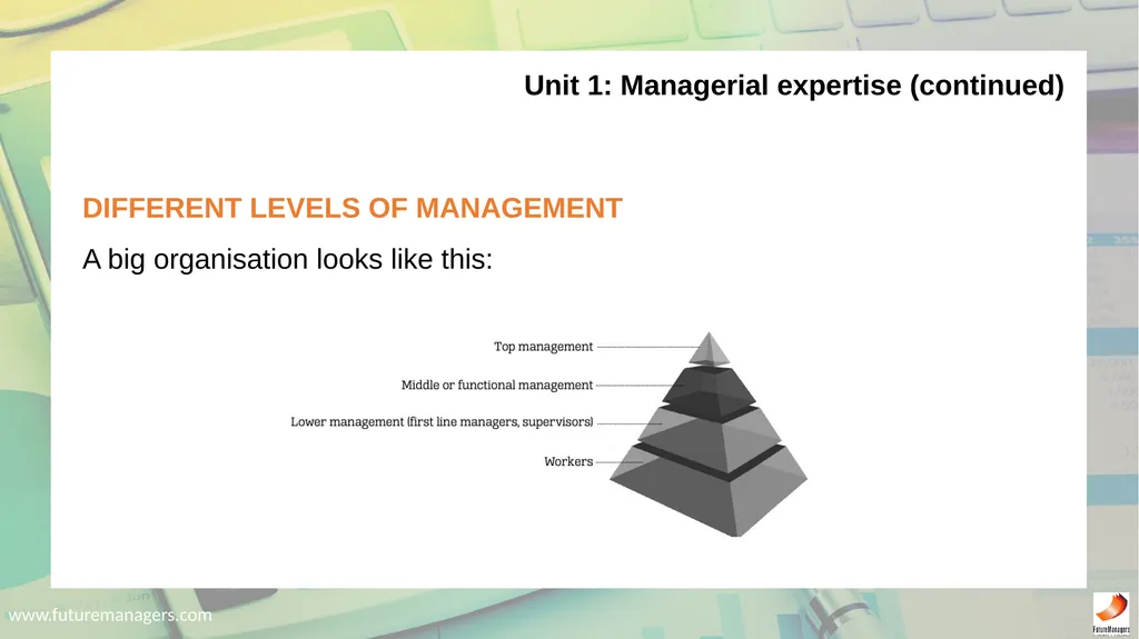 Economic and Management Sciences NQF1 Chapter 1: - slide 77 of 212