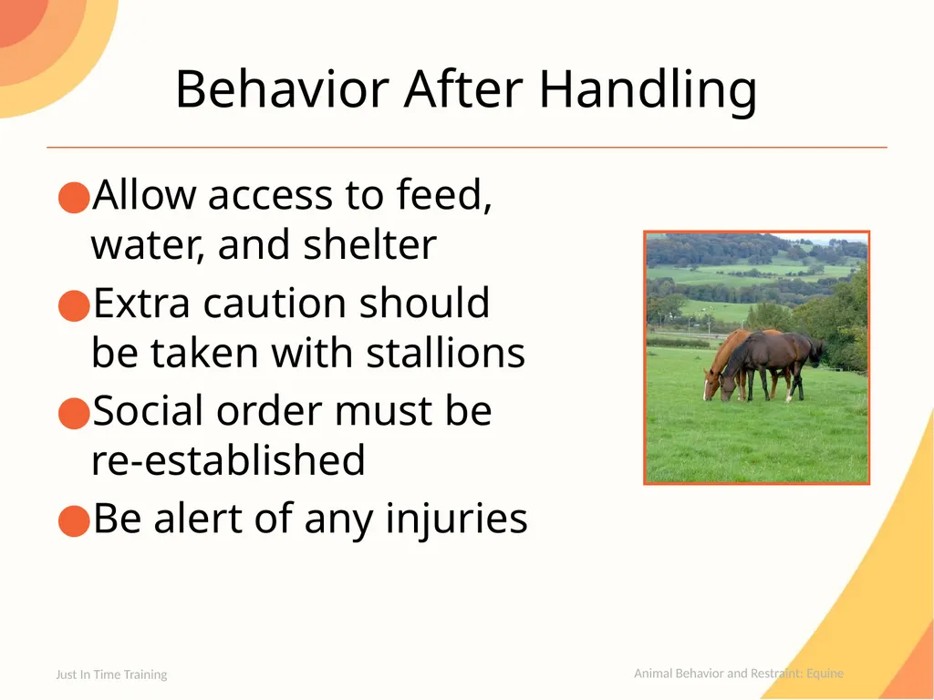 Animal Behavior and Restraint Equine Equine - slide 8 of 13